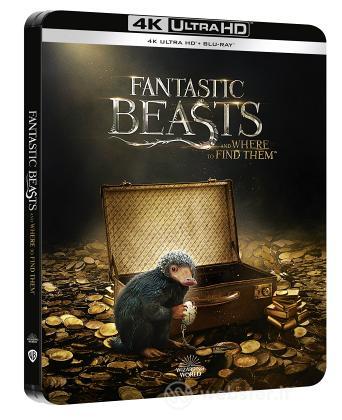 Animali Fantastici E Dove Trovarli (Steelbook) (4K Ultra Hd+Blu-Ray) (2 Dvd)