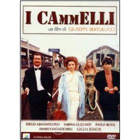 I cammelli