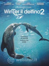 L' incredibile storia di Winter il delfino 2