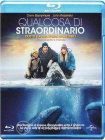 Qualcosa Di Straordinario (Blu-ray)