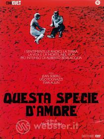 Questa specie d'amore