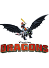 Playmobil Dragon Trainer